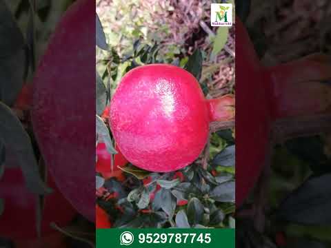 Complete Farm Test Package Overview