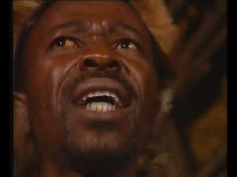 Phuzekhemisi - Inja Yami (Official Music Video)