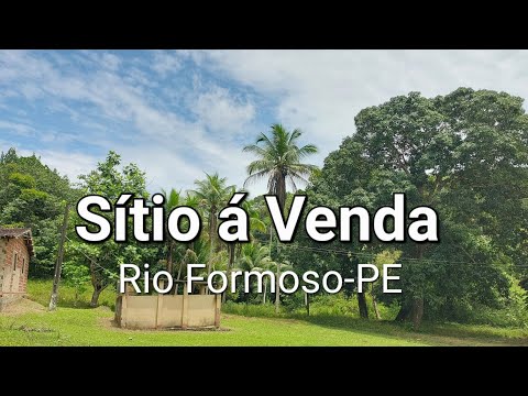 Lindo Sítio á Venda Zona Rural de Rio Formoso-PE  6 Hectares  
