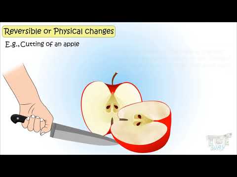 Physical and Chemical Changes: Chemistry For Kids | TutWay