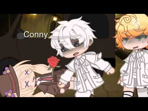 坏的是TA ROBANU MINHA FLOR是坏的