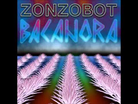 Zonzobot - 144000