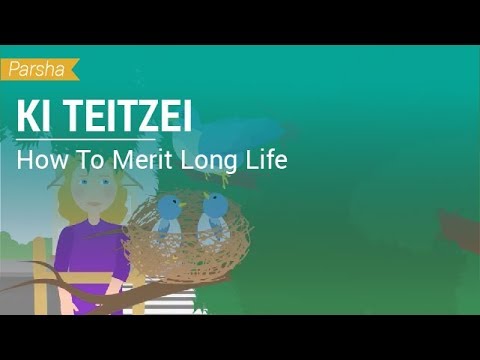 Parshat Ki Teitzei: How To Merit Long Life?