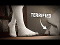 Bugs Giantess POV Animation