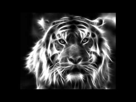 Tommy Trash vs Pnau vs MGMT - Unite Kids (Tommy Trash Private Bootleg) #