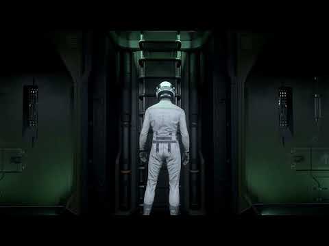 Valkyrie ladder is bugged?