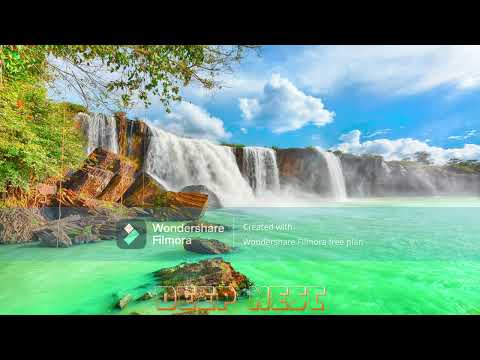 GRAZZE & Altreal - Alive (Rauschhaus remix)