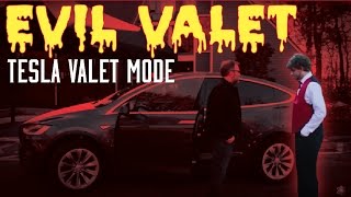 Evil Valet - Tesla Valet Mode