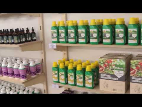 Folha Plant Shop, Cape Town