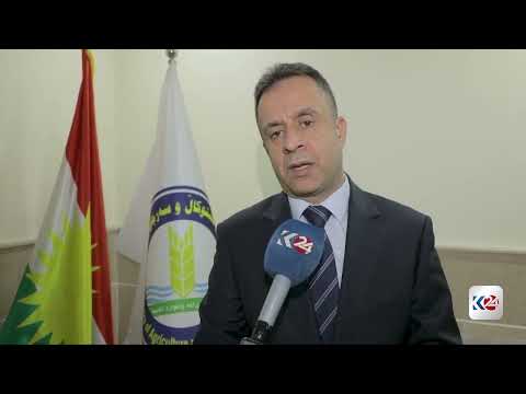 الأمطار الغزيرة تمنح فلاحي دهوك أملاً بزراعة كميات كبيرة من القمح 