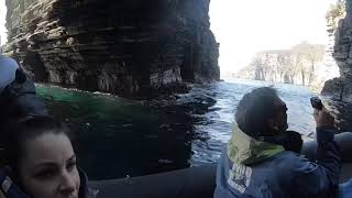 preview picture of video 'Wild Ocean Adventure Eaglehawk Neck Tasmania'