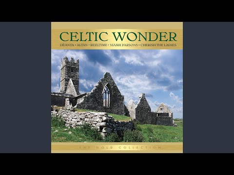 An Páistín Fionn - Niamh Parsons