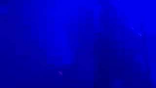 Nine Inch Nails Concert: NIN and Peter Murphy Final Solution