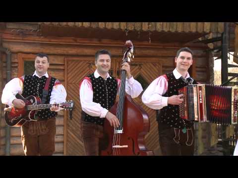 ANSAMBEL JAVOR - NI MI ŽAL