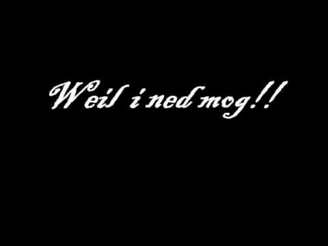 download lagu mp3 mp4 Weil I Ned Mog, download mp3 Weil I Ned Mog free downloadn, video klip Weil I Ned Mog