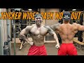 Back work out fully explained|Proper way of barbel row|rack pull|one hand cable row|shrug +tips|