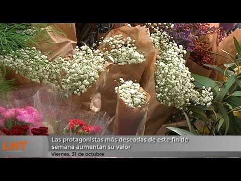 Las protagonistas más deseadas de este fin de semana aumentan su valor