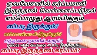 When White discharge satrts after ovulation in tamil/கர்ப்பத்திற்கான வெள்ளைப்படுதல் விளக்கம்/#viral