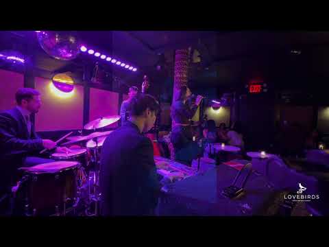 Promotional video thumbnail 2 for Lovebirds