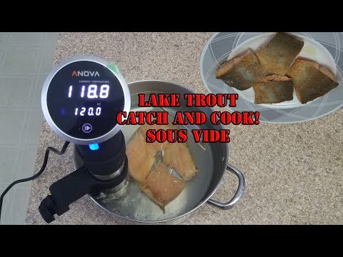 download lagu mp3 mp4 Sous Vide Lake Trout, download lagu Sous Vide Lake Trout gratis, unduh video klip Sous Vide Lake Trout