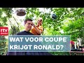 Autohottub, kapper en yoga op de camping | Campinggasten | RTV Drenthe
