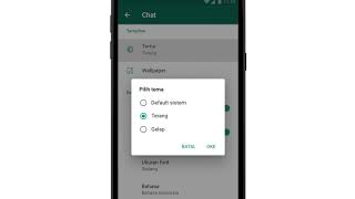 Cara Mudah Aktifkan Dark Mode di WhatsApp Khusus Android, Lengkap dengan Video Tutorial