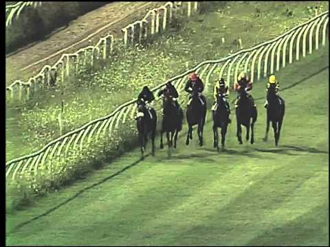 Galoppo 05/08/2015 - 3° corsa