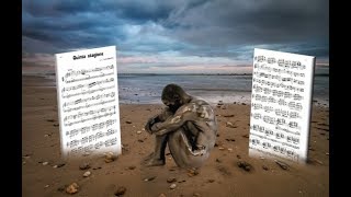 Pooh -- Quinta Stagione