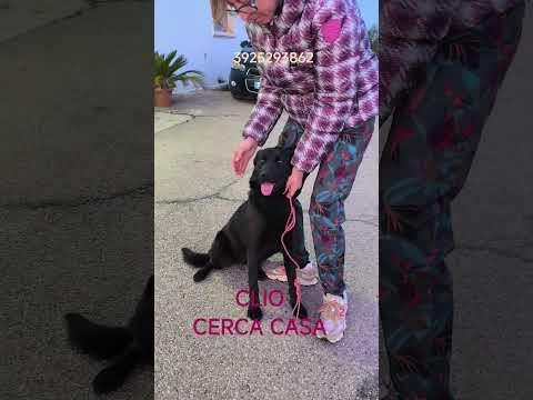 Regalo Una famiglia da amare per la dolcissima Clio 