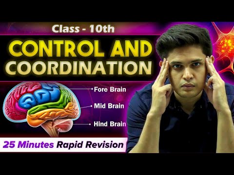 Control and Coordination in 25 Minutes🔥| Class 10th | Rapid Revision | Prashant Kirad