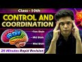Control and Coordination Rapid Revision | Class 10 Biology Chapter Summary