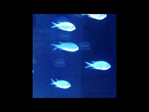 [FREE] MAYOT x FEDUK x PRETTY SCREAM Type Beat - МОРЕ x ТЫ Type Beat