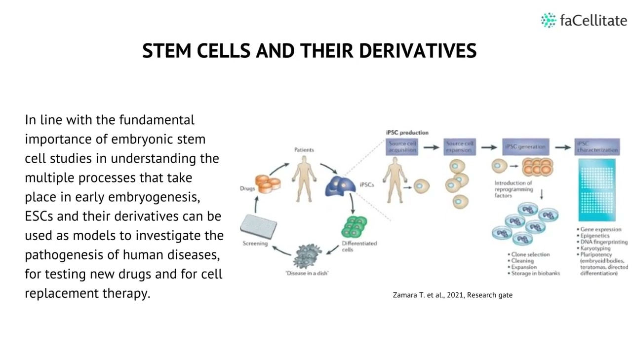 Induced Pluripotent Stem Cells