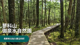 癒しの御泉水自然園トレッキングコース～長野県蓼科山 Beautiful trekking course in Gosensui Nature Park, Tateshina Nagano JAPAN