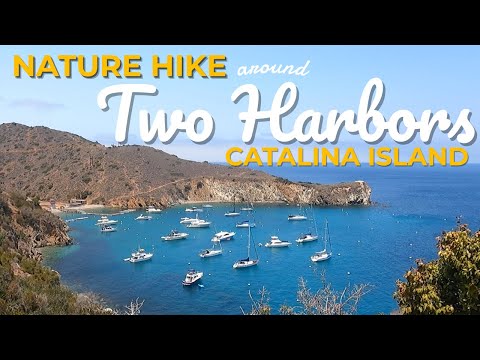 Nature Hike: Two Harbors, Catalina Island - Plants, Birds, and Ecology