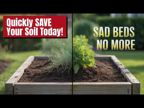 Raised Bed Gardening HACK: Restore Soil Health INSTANTLY (Zero Worms Needed!)