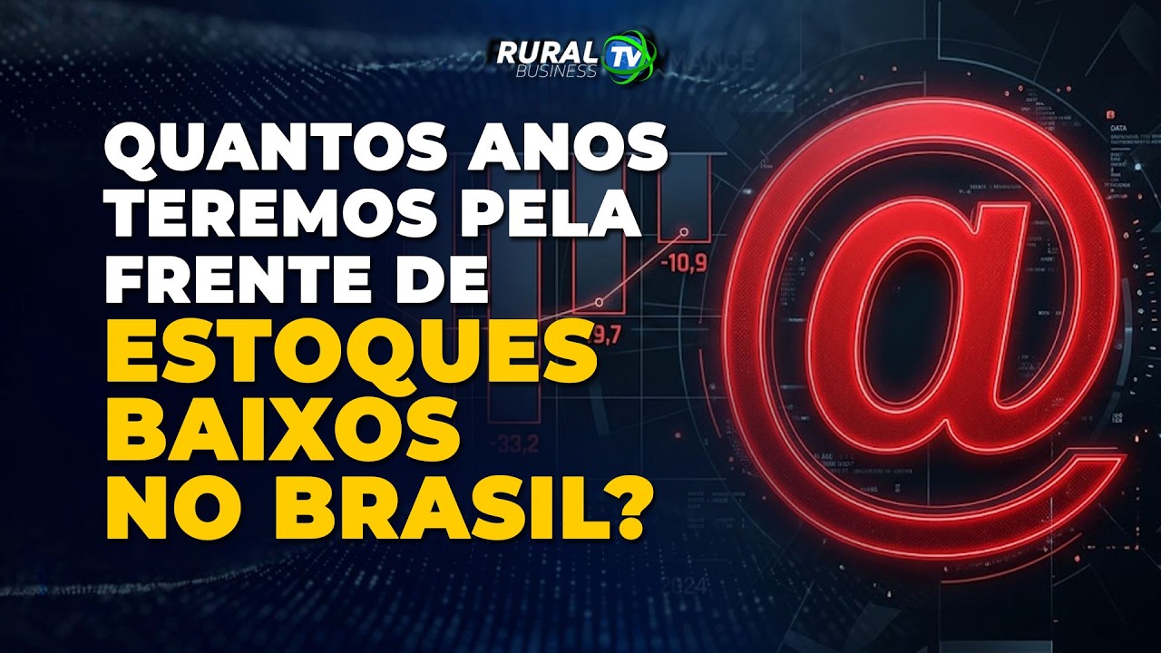 QUANTOS ANOS TEREMOS PELA FRENTE DE ESTOQUES BAIXOS NO BRASIL?