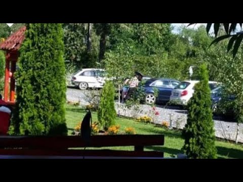 Pensiunea Poiana Avrigului, Avrig, Romania