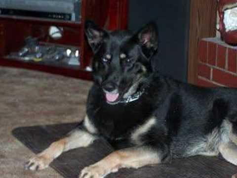 The Smythe's "Fat Farm"