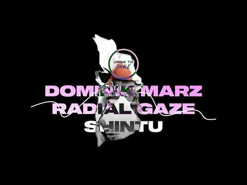 Dominik Marz & Radial Gaze - Shintu (Original Mix)