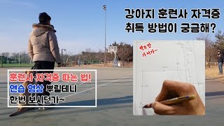 훈련사 자격증 취득 방법이 궁금해?? 연습 영상 뿌릴테니 한번 보시던가~