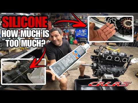 Too Much Silicone Gasket Maker in your SeaDoo Rotax Engine? + Motor Tear Down + Calas Tech Tips