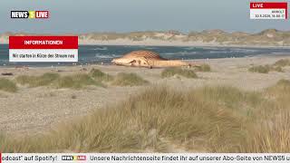 Video thumbnail image