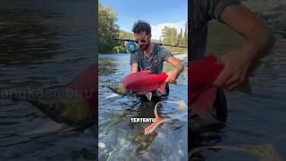 Download lagu Jangan TerGoda Tangkap Salmon diJalan Ini. #ikan #salmon #shortsviral mp3 Download lagu Jangan TerGoda Tangkap Salmon diJalan Ini. #ikan #salmon #shortsviral mp3