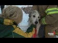 Dramatic Rescue Of Dog Fallen Into Icy River RAW VIDEO