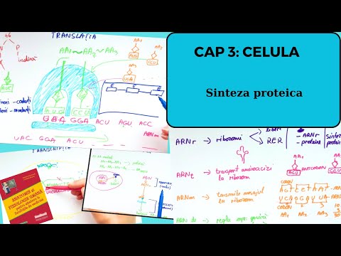 ADMITERE MEDICINA BARRON'S: CELULA 4/4: Sinteza proteica