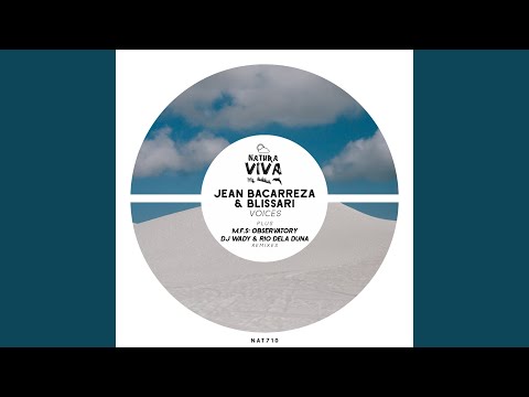 Voices (DJ Wady & Rio Dela Duna Remix)