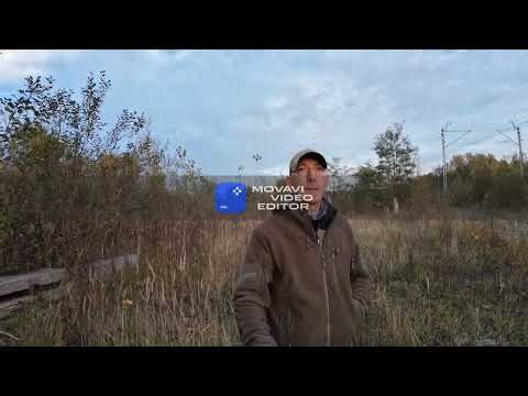 Our joint autumn walk with Gucio. Waldemar as usual has a cold and high temperature....