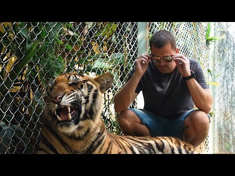 KID VIBES & JUICE FT. FLO RIDA & HONOREBEL - TIGHT BODY (OFFICIAL VIDEO)