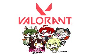 【 VALORANT 】V最 team5 顔合わせいくぞ✨ 【 ぶいすぽっ！ / 小森めと 】